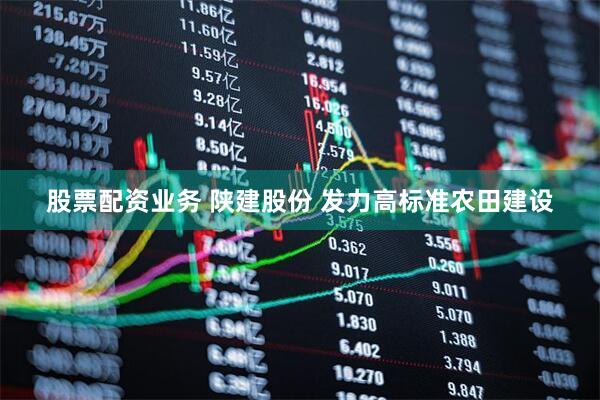 股票配资业务 陕建股份 发力高标准农田建设