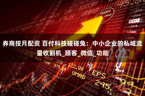 券商按月配资 百付科技碰碰兔：中小企业的私域流量收割机_顾客_微信_功能