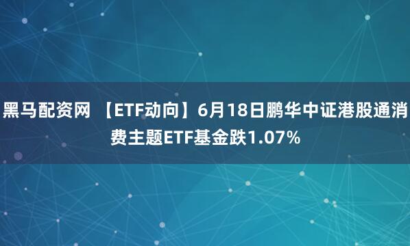 黑马配资网 【ETF动向】6月18日鹏华中证港股通消费主题ETF基金跌1.07%