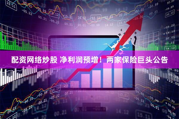 配资网络炒股 净利润预增！两家保险巨头公告