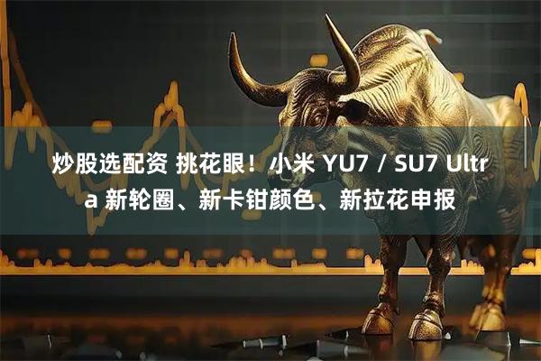 炒股选配资 挑花眼！小米 YU7 / SU7 Ultra 新轮圈、新卡钳颜色、新拉花申报