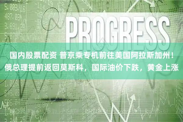 国内股票配资 普京乘专机前往美国阿拉斯加州！俄总理提前返回莫斯科，国际油价下跌，黄金上涨