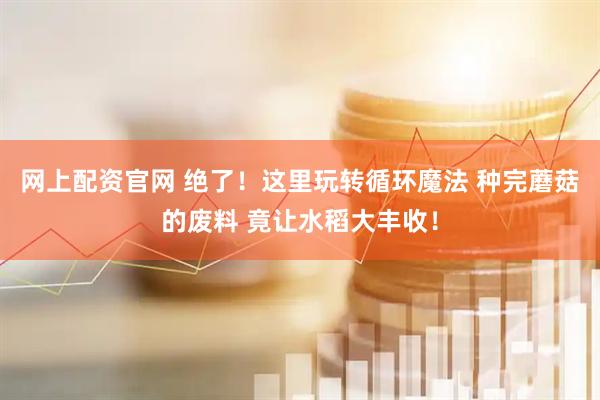 网上配资官网 绝了！这里玩转循环魔法 种完蘑菇的废料 竟让水稻大丰收！